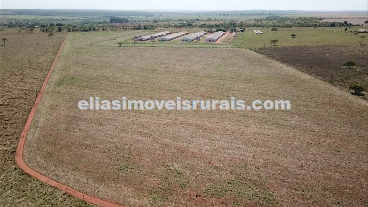 Sítio no município de Uberlândia/MG