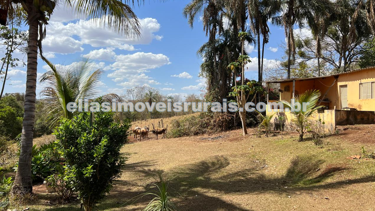 Sítio no município de Uberlândia/MG